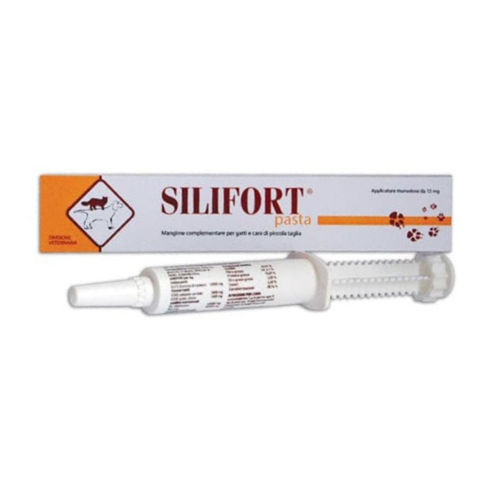 Ddfarma Silifort Pasta Os Siringa 30 G img