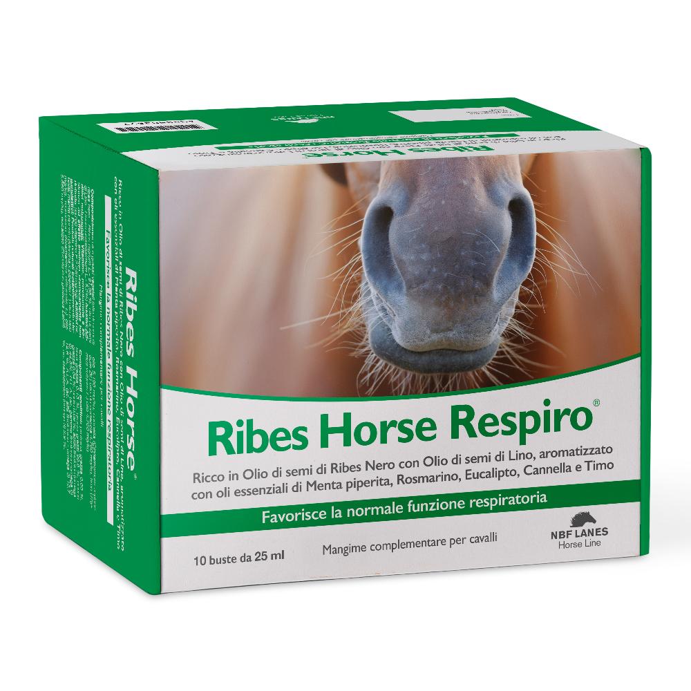 RIBES HORSE RESPIRO 10BUST img