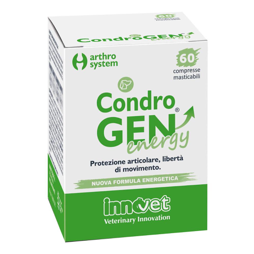 Condrogen Energy 60CPR Mastic: Protezione Articolare