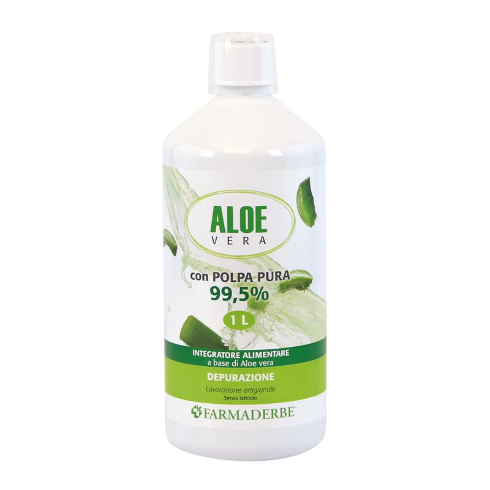 ALOE VERA SUCCO POLPA 1000ML