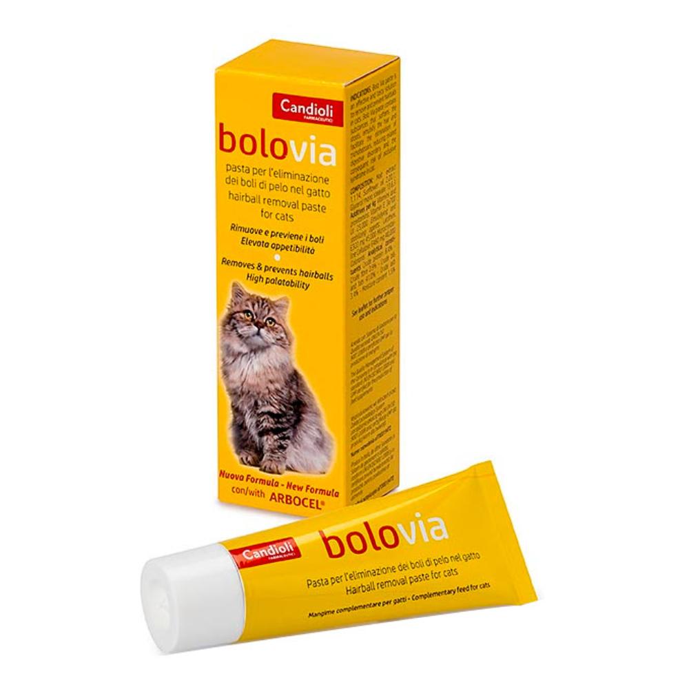 BOLO VIA PASTA GATTI 25G img 0