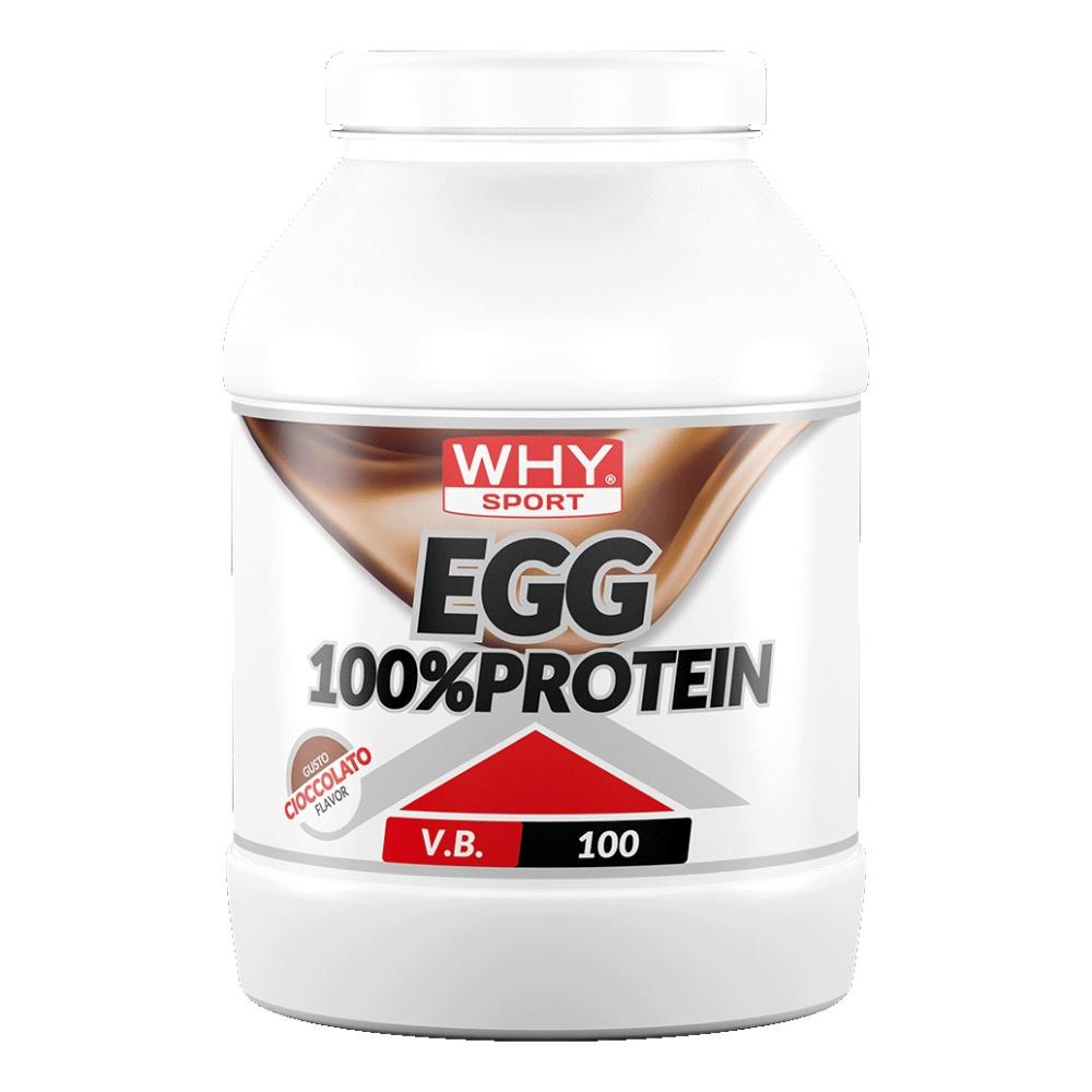 WHYSPORT EGG 100% PROTEIN CIOC